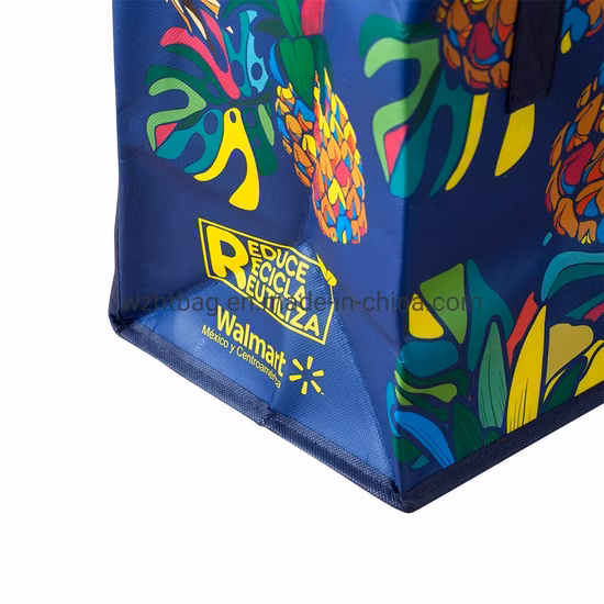 Borsa in tessuto non tessuto in PP Borsa ecologica personalizzata in fabbrica Borsa termica in tessuto non tessuto impermeabile Borsa per il ghiaccio riutilizzabile Borsa per la spesa Borsa termica per il pranzo